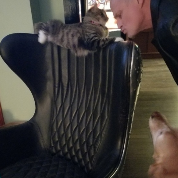 Hi!  Meet René. 🍭🍬🧵 - Picture 2 of 10